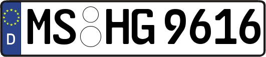MS-HG9616