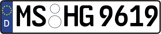 MS-HG9619