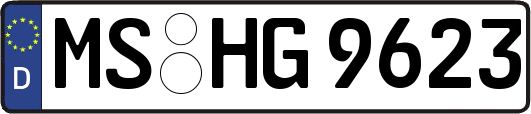 MS-HG9623
