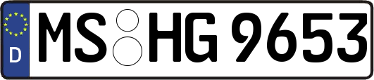 MS-HG9653
