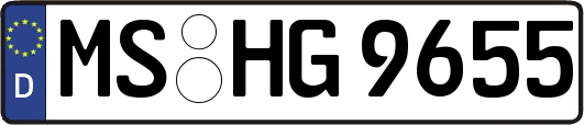 MS-HG9655