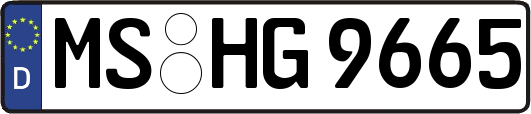 MS-HG9665