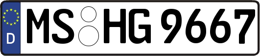MS-HG9667