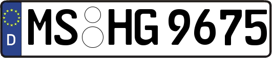 MS-HG9675