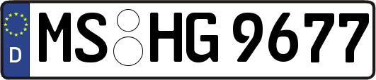 MS-HG9677