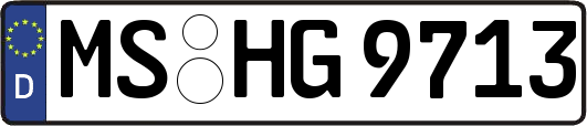 MS-HG9713