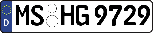 MS-HG9729