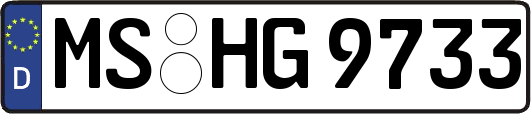 MS-HG9733