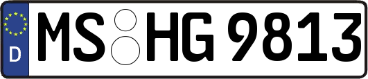 MS-HG9813