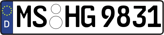 MS-HG9831