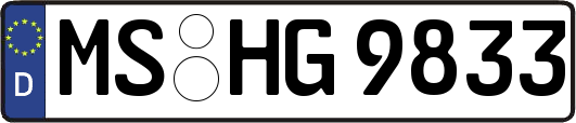 MS-HG9833