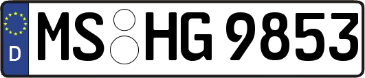 MS-HG9853