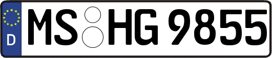MS-HG9855