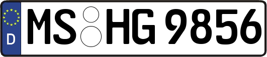 MS-HG9856