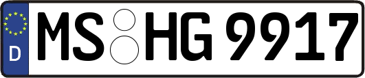 MS-HG9917