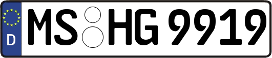 MS-HG9919