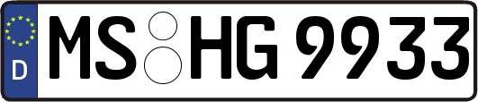 MS-HG9933