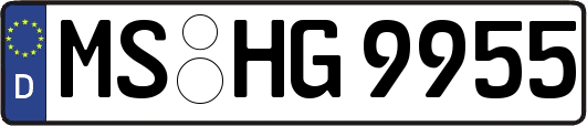 MS-HG9955