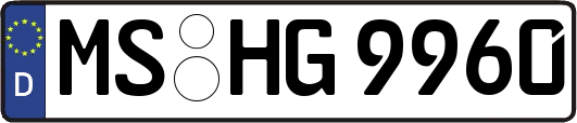 MS-HG9960