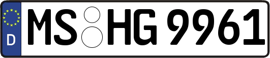MS-HG9961
