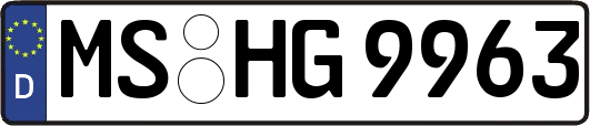 MS-HG9963