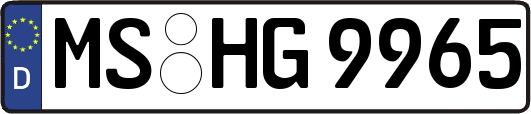 MS-HG9965