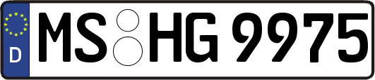 MS-HG9975