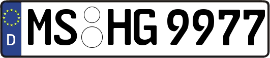MS-HG9977