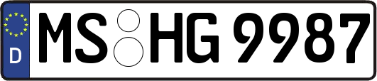 MS-HG9987