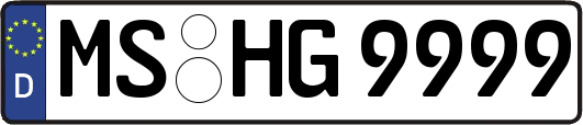 MS-HG9999