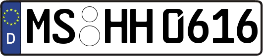 MS-HH0616