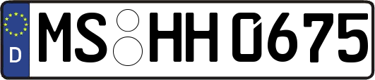 MS-HH0675