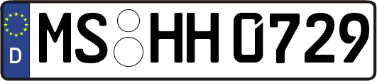 MS-HH0729