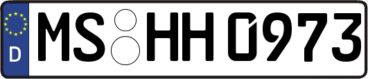 MS-HH0973