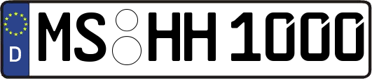 MS-HH1000