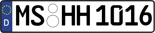 MS-HH1016