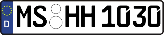MS-HH1030