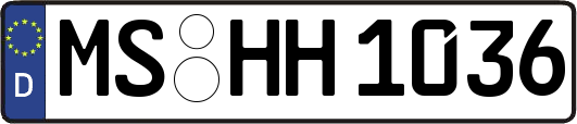 MS-HH1036