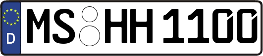 MS-HH1100
