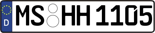 MS-HH1105