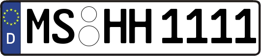 MS-HH1111