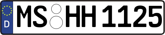 MS-HH1125