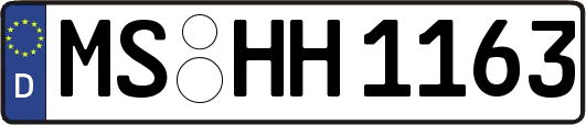 MS-HH1163