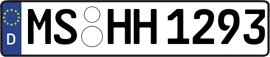 MS-HH1293