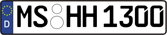 MS-HH1300
