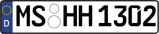 MS-HH1302