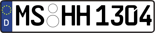 MS-HH1304