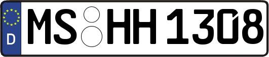 MS-HH1308