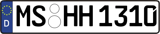 MS-HH1310