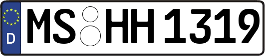 MS-HH1319